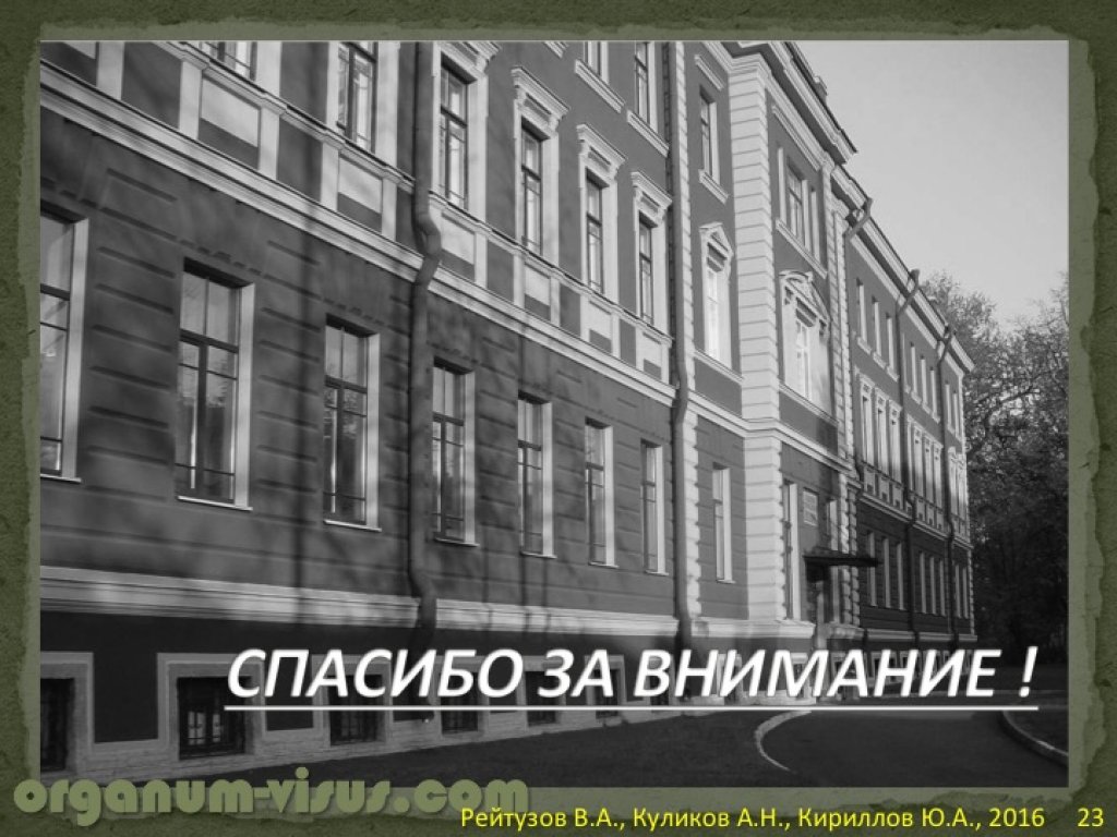 Садоводство красная смородина болезни