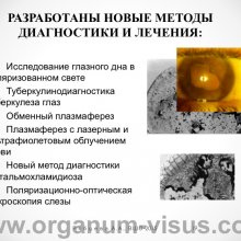 Рябцева А.А. Московской областной офтальмологии 145 лет. Доклад на XV Всероссийской Школе офтальмолога (ВШО-2015, Снегири). Информационный партнер портал Орган зрения www.organum-visus.com