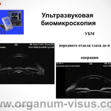 Рябцева А.А. Московской областной офтальмологии 145 лет. Доклад на XV Всероссийской Школе офтальмолога (ВШО-2015, Снегири). Информационный партнер портал Орган зрения www.organum-visus.com